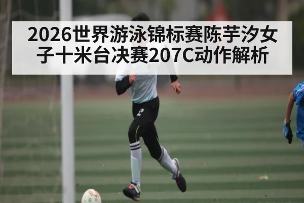 2026世界游泳锦标赛陈芋汐女子十米台决赛207C动作解析