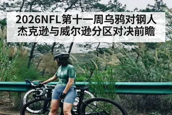 2026NFL第十一周乌鸦对钢人 杰克逊与威尔逊分区对决前瞻
