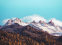 开云-老特拉福德球迷唱“卡塞米罗再待一年吧”，球员妻子致谢