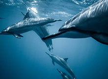 开云体育网址-世界杯欧洲区预选赛抽签指南①史上最复杂抽签